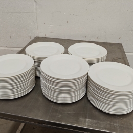 100 assiettes - Zenix - 25,5 cm